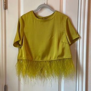 Feather Trim Satin Crop Top